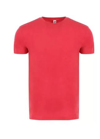 ADULT SHORT SLEEVES SOFT STYLE T-SHIRTS BY DALLAS SHIRTS