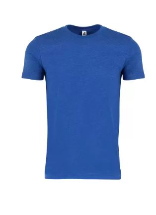 ADULT SHORT SLEEVES SOFT STYLE T-SHIRTS BY DALLAS SHIRTS