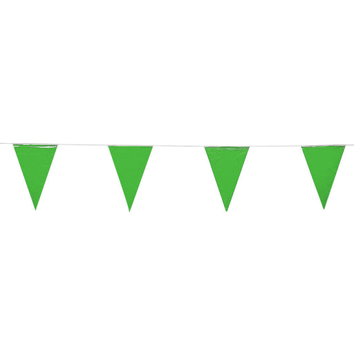 Pennant String - Green 100'