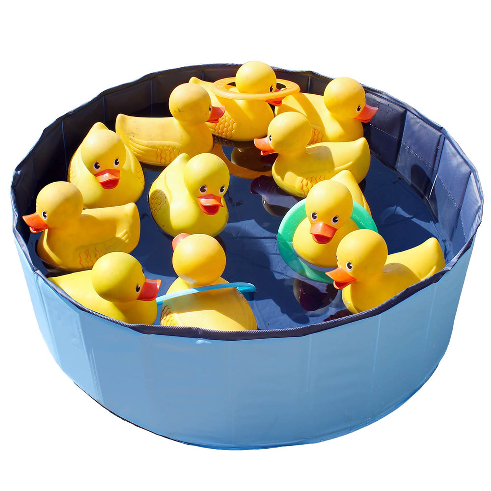 Rental Ducky Duck Ring Toss Game