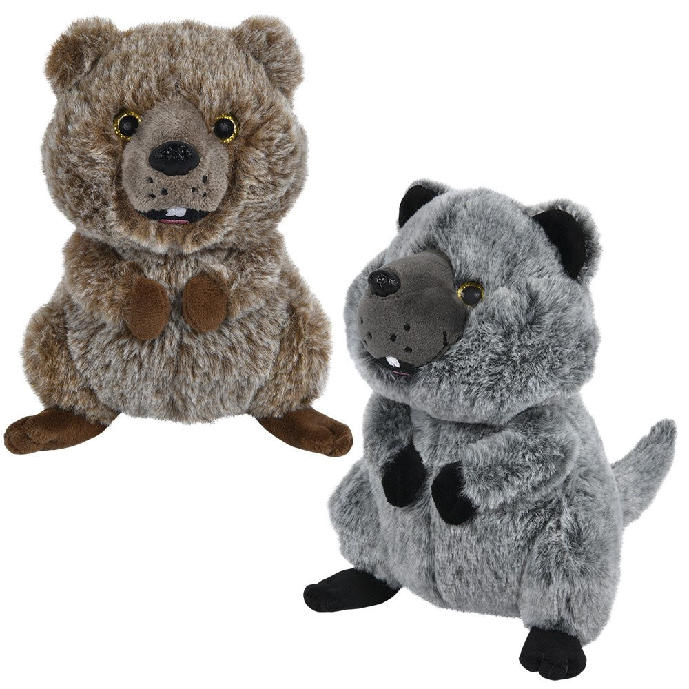 Plush Quokka Assorted 7"