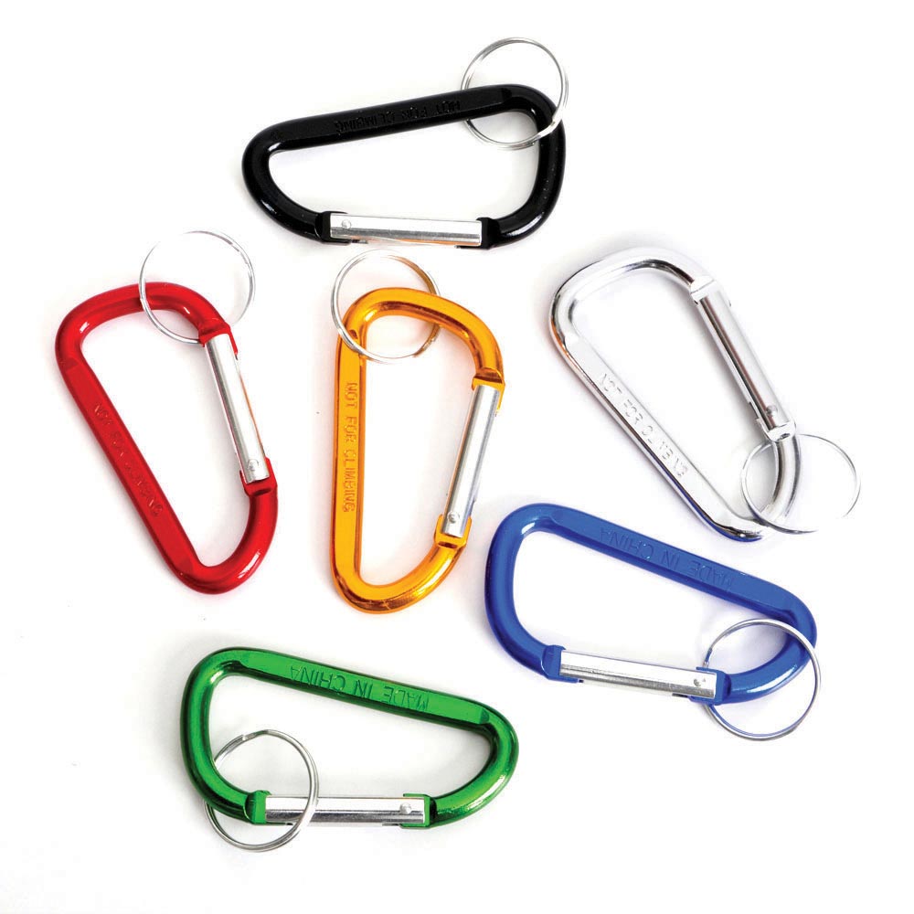 Carabiner Keychain 2" (DZ)