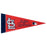 St. Louis Cardinals Mini Pennant 9" (DZ)