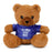 St. Louis Souvenir Teddy Bear Blue 8"