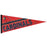 St. Louis Cardinals Classic Pennant 30"