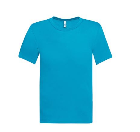 ADULT SHORT SLEEVES SOFT STYLE T-SHIRTS BY DALLAS SHIRTS